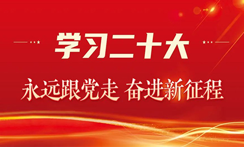 佛山九游新能源党支部组织深入学习贯彻党的二十大精神：为推进中国高质量发展增添“新动能”